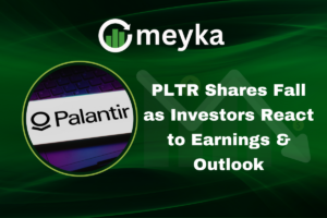 PLTR shares fall