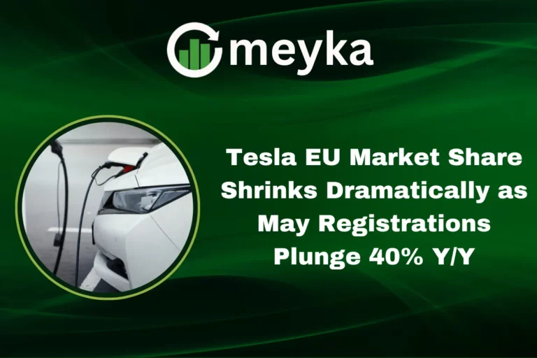 Tesla EU Market Share