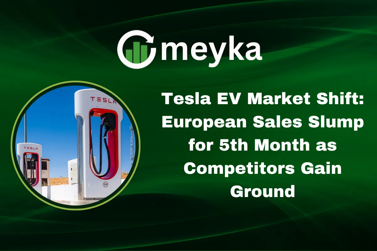 Tesla EV Market Shift