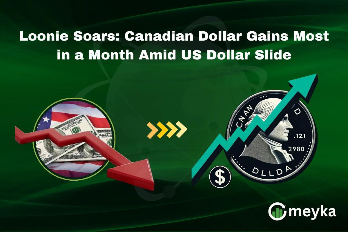 Loonie Soars: Canadian Dollar Gains Most in a Month Amid US Dollar Slide