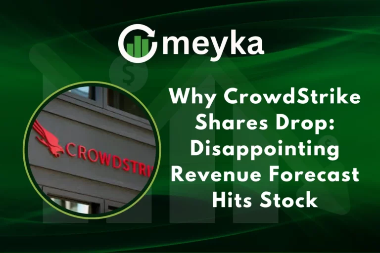 CrowdStrike Shares Drop