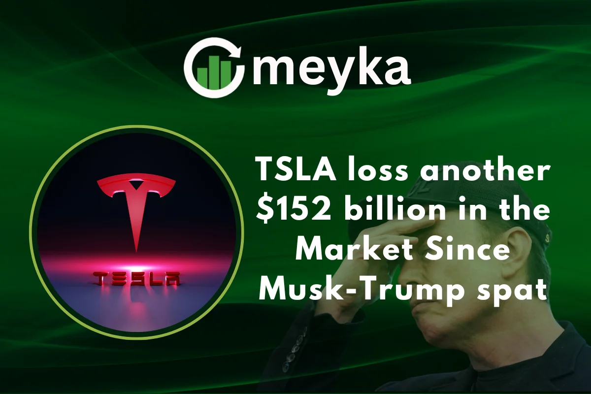 TSLA LOSS