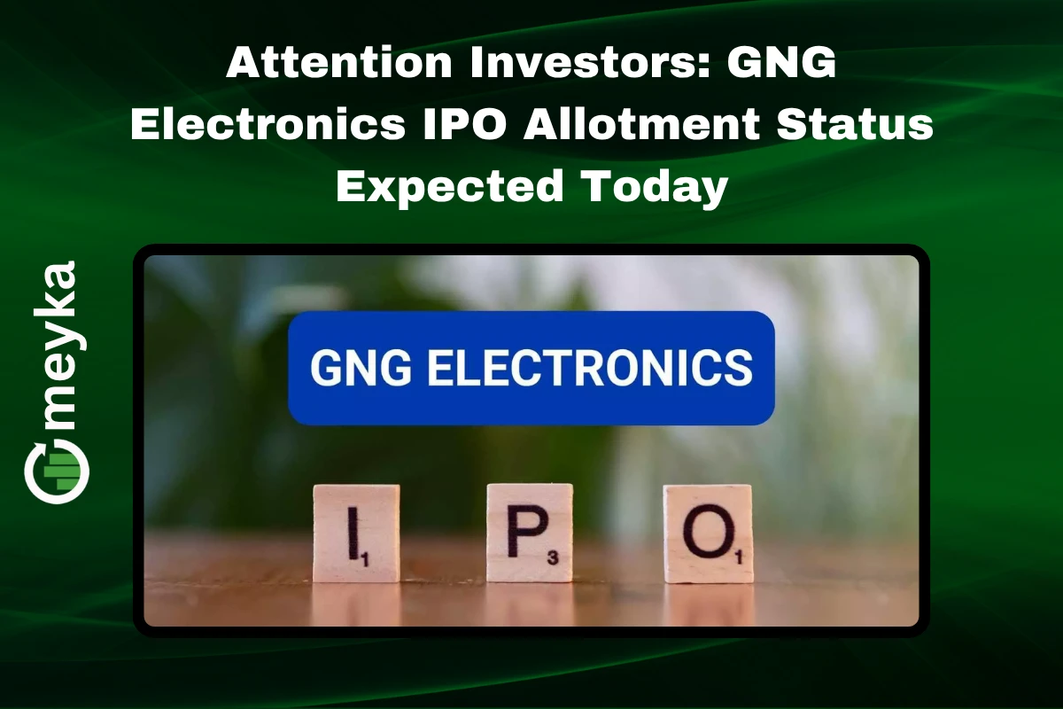 Investors checking GNG Electronics IPO allotment status online