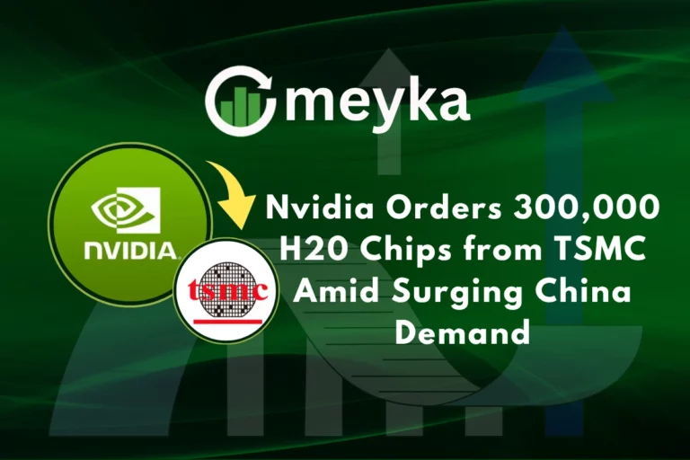 H20 Chips