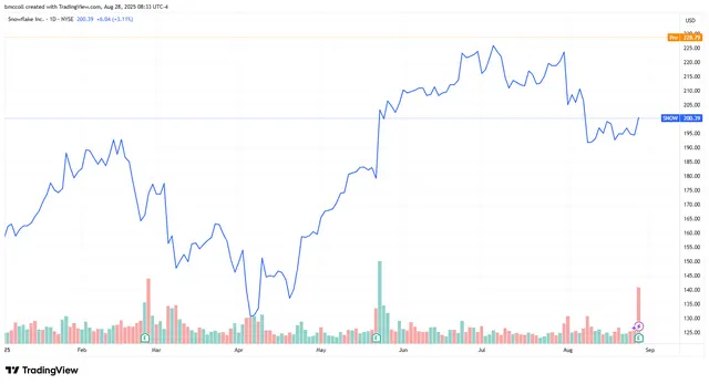 Snowflake Stock