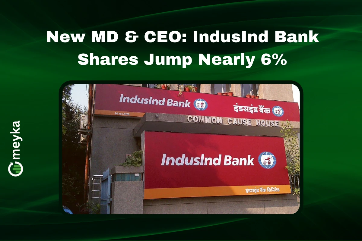 Rajiv Anand IndusInd Bank CEO Appointment