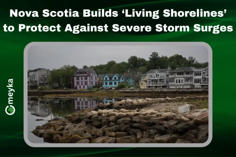 Nova Scotia living shoreline with plants and rocks reducing storm surge impact