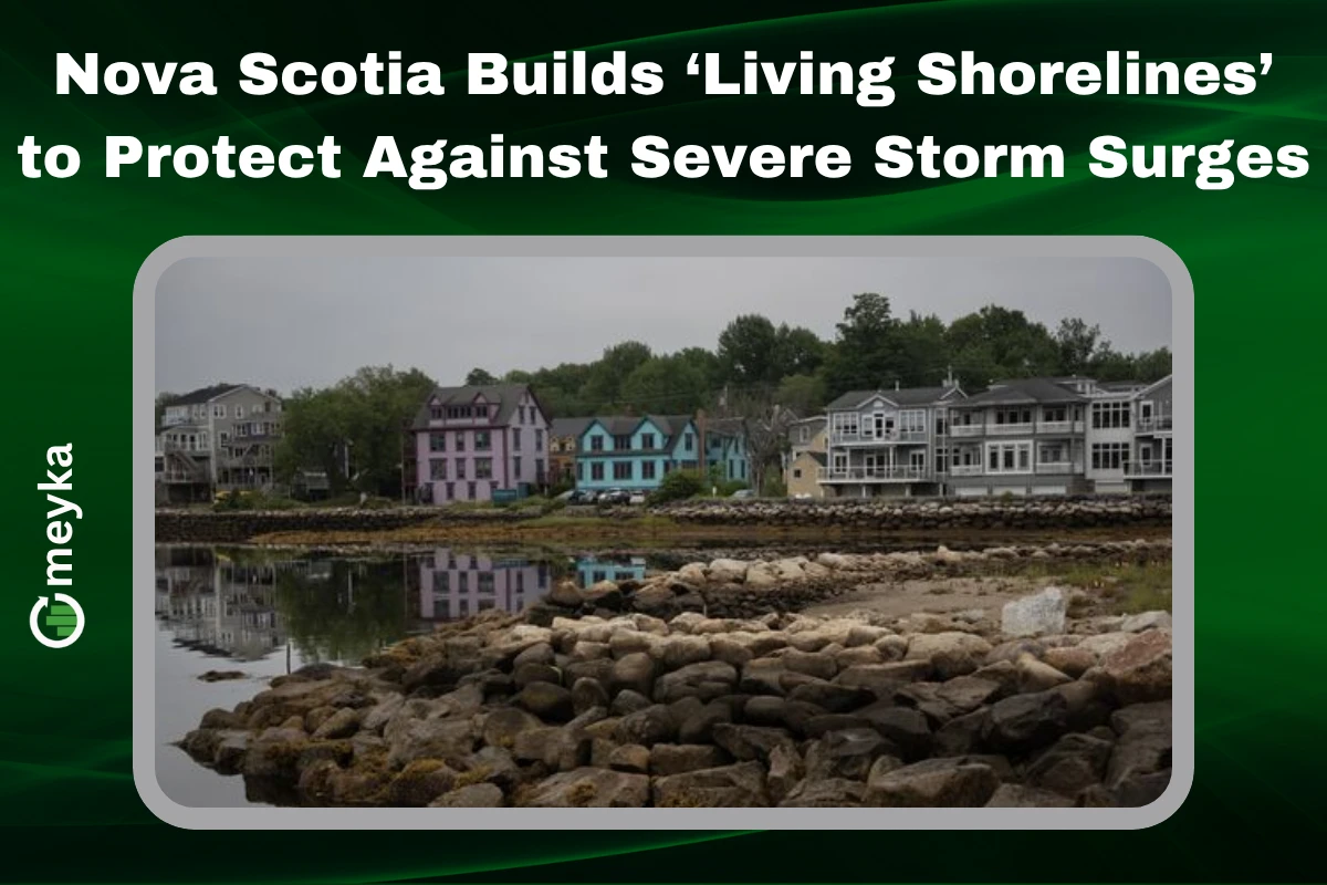Nova Scotia living shoreline with plants and rocks reducing storm surge impact