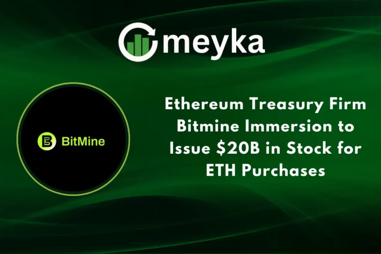 Bitmine Immersion