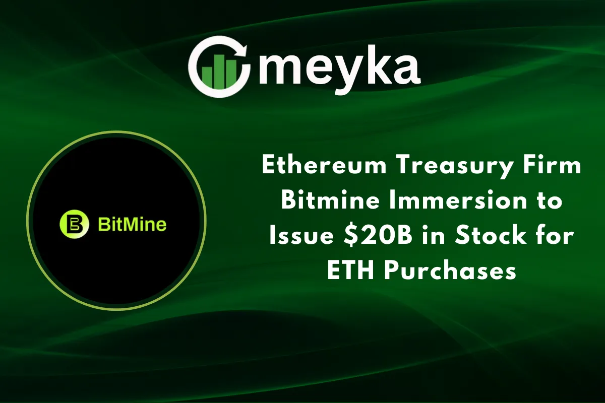 Bitmine Immersion