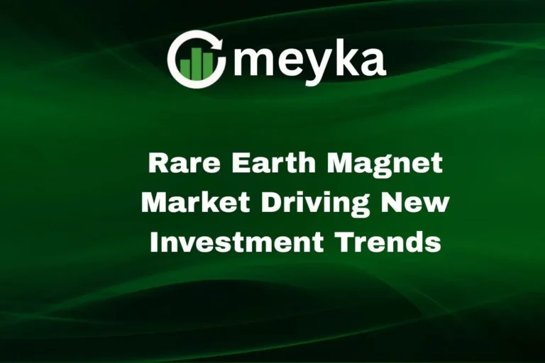 Rare Earth Magnet