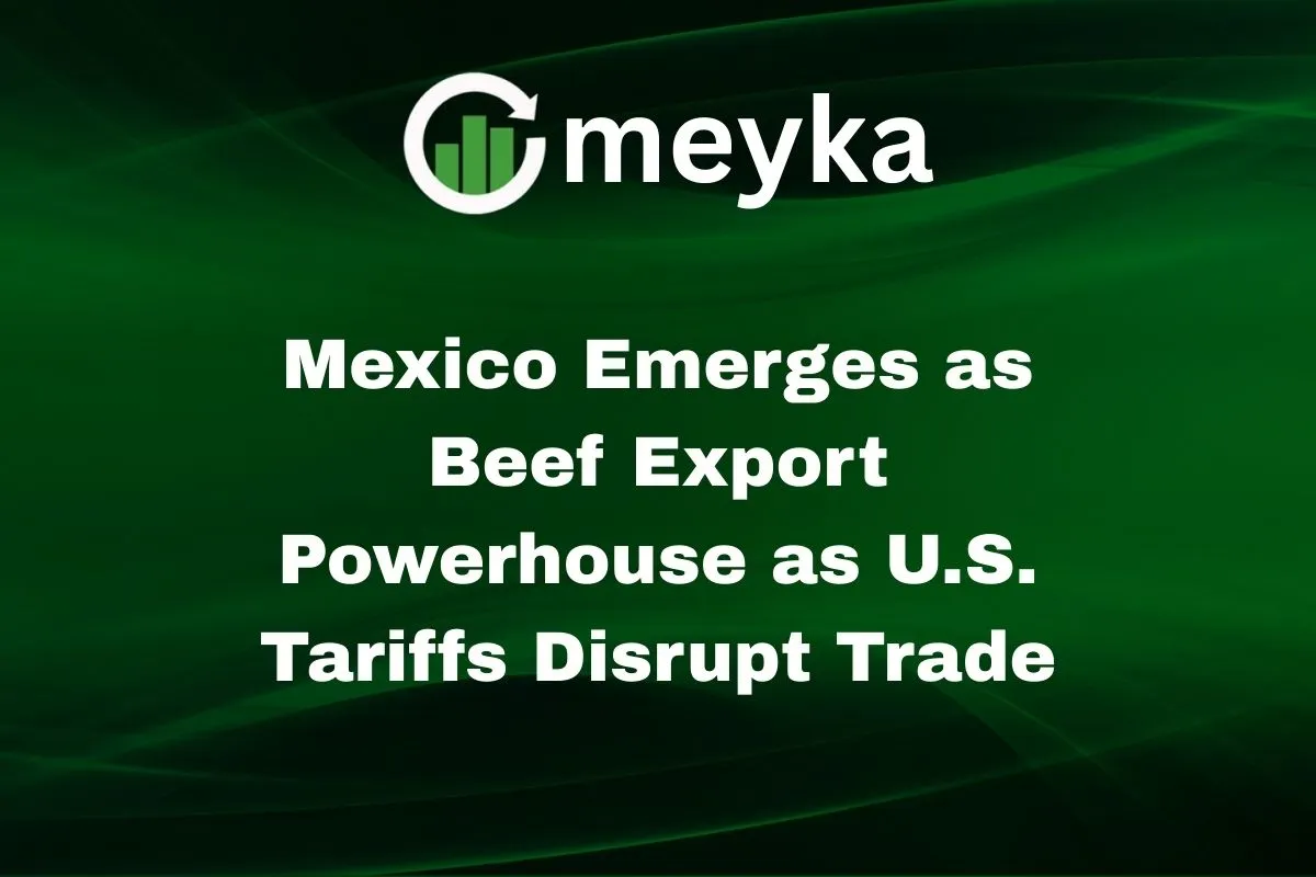 Beef Export