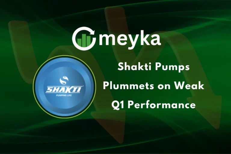 Shakti Pumps