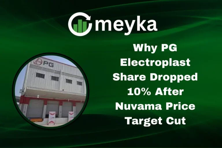 pg electroplast share