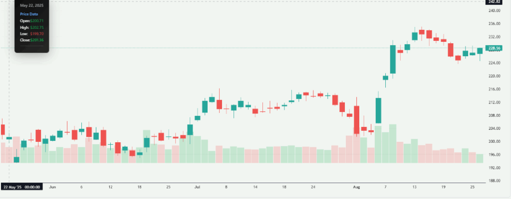 Apple's Stock Performance Chart Overview