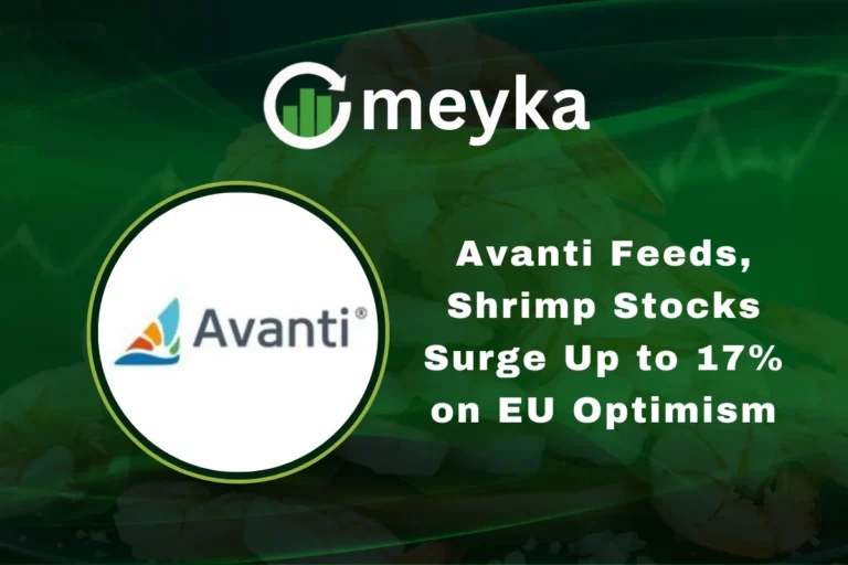Avanti Feeds