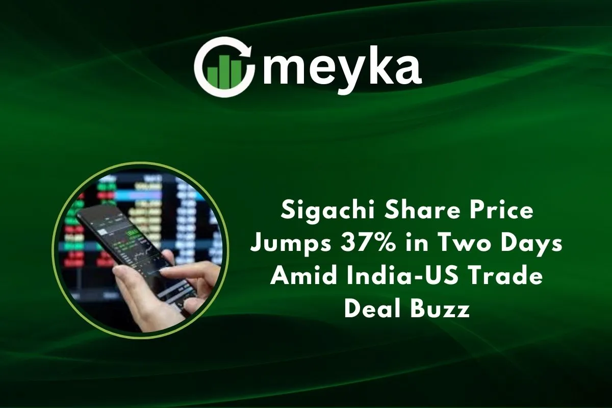 Sigachi Share Price