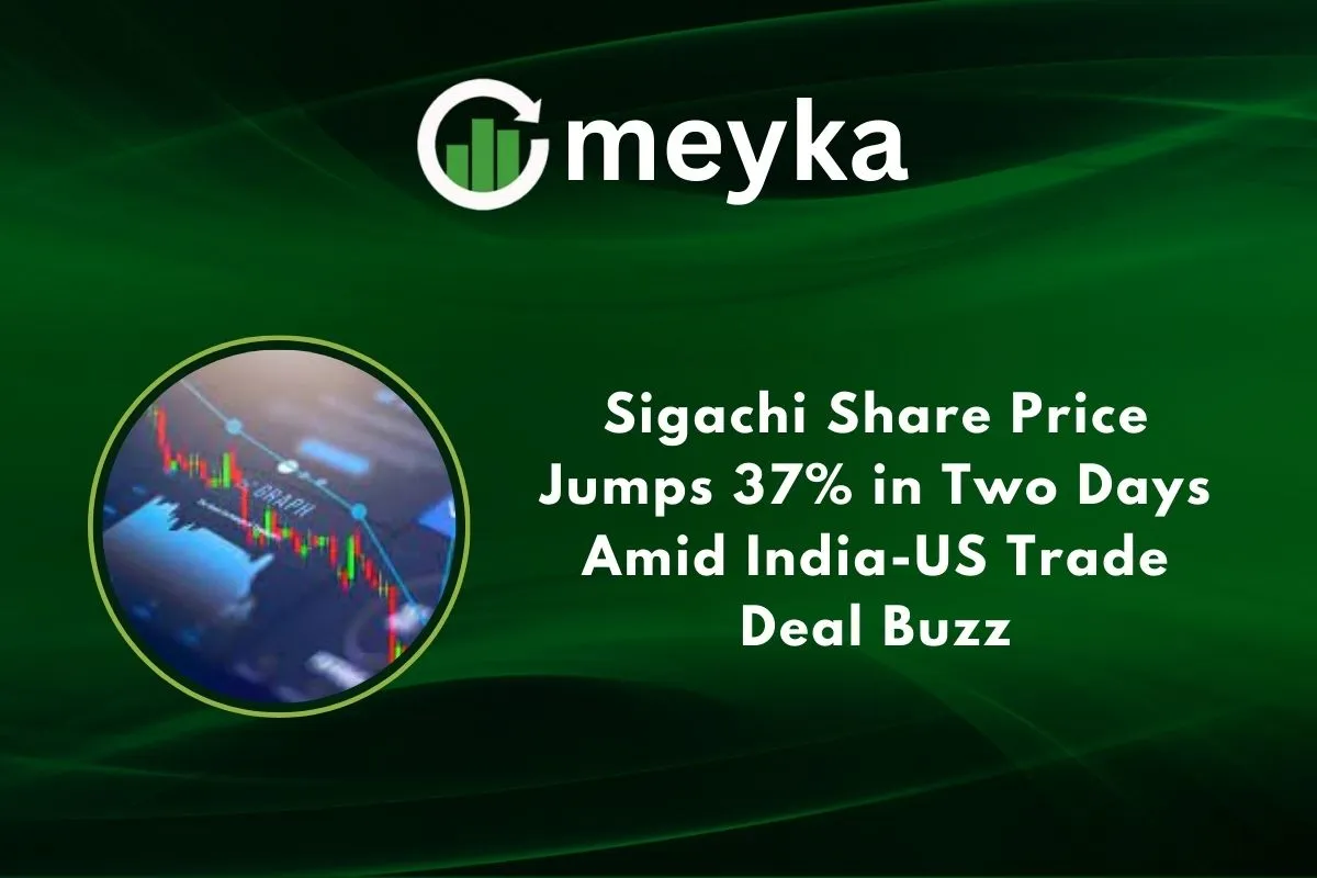 Sigachi Share Price