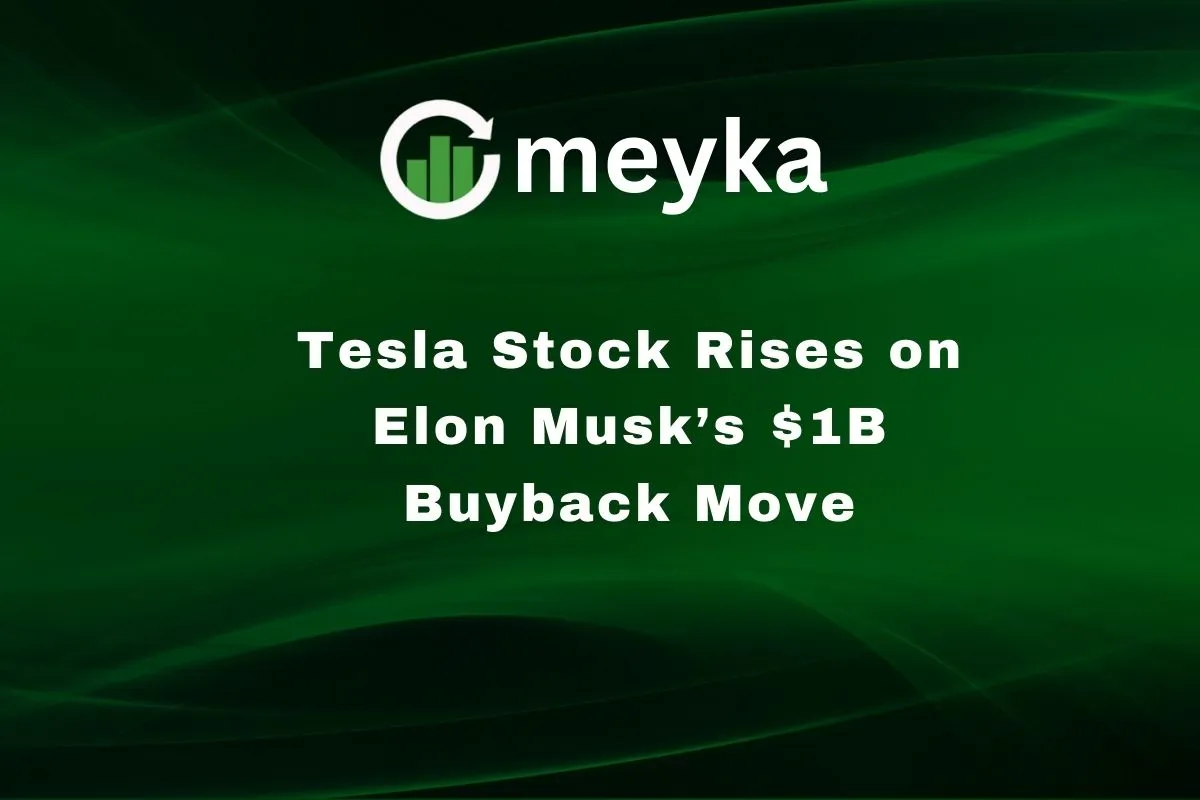 Tesla Stock