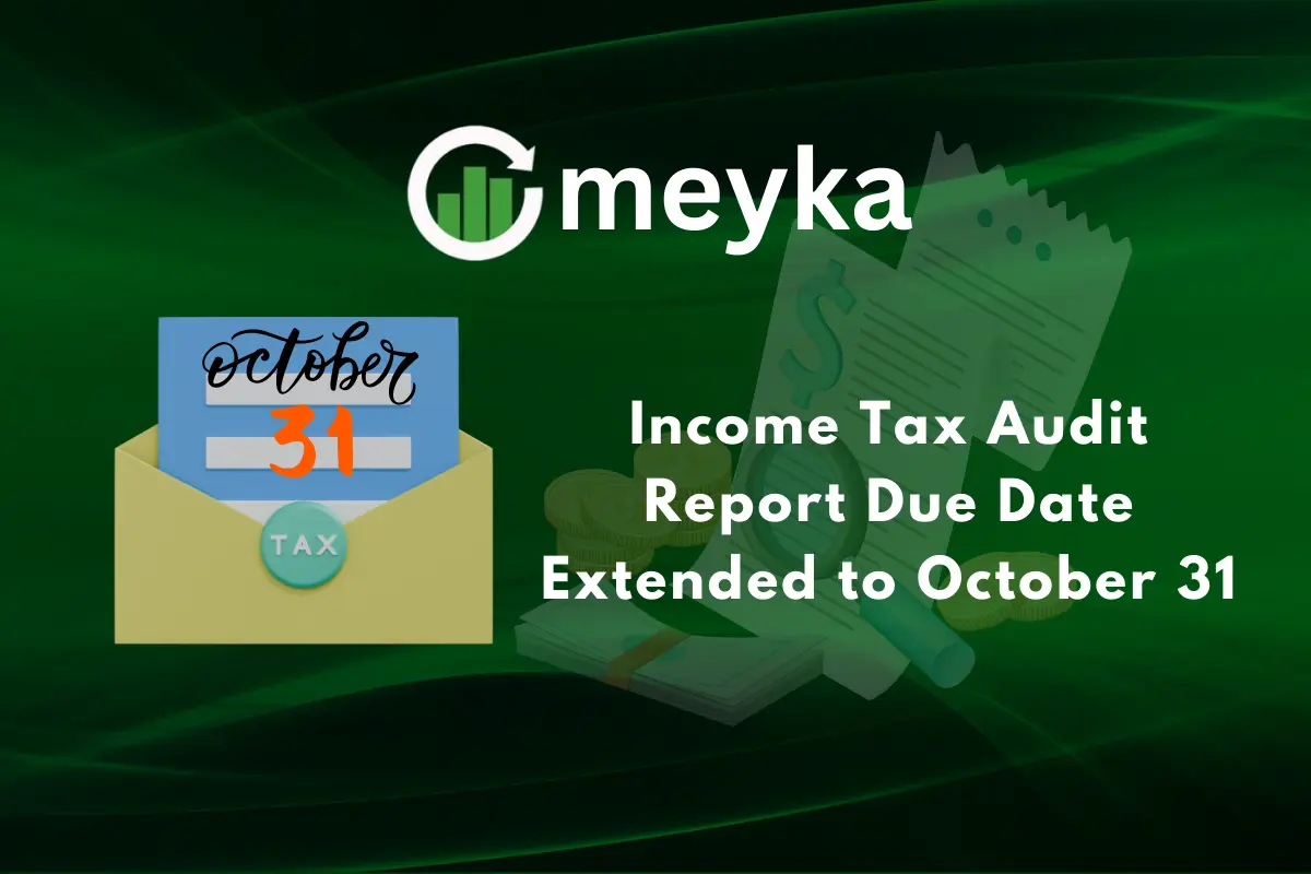 Income Tax Audit Report