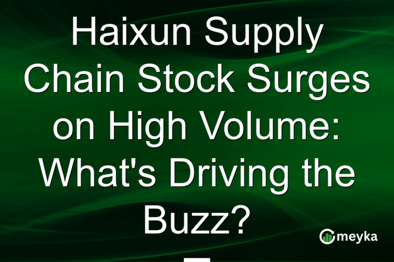 Haixun Supply Chain Stock Surges on High Volume: What's Driving the Buzz?