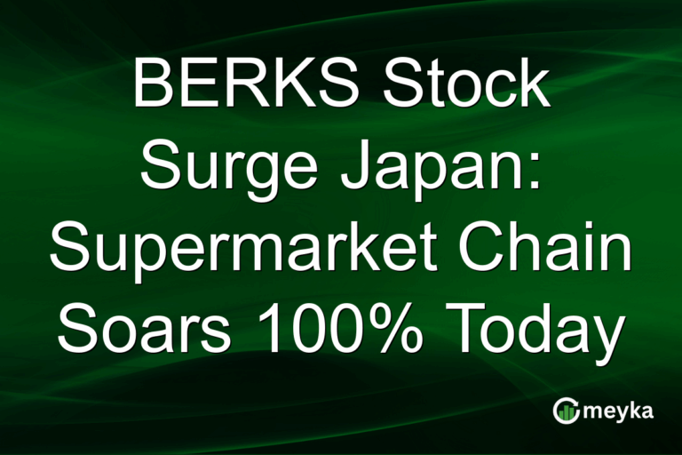 BERKS Stock Surge Japan: Supermarket Chain Soars 100% Today