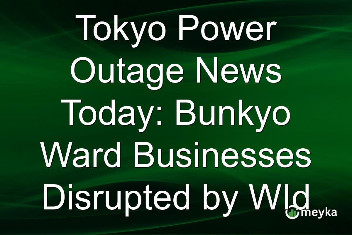 Tokyo Power Outage News Today: Bunkyo Ward Businesses Disrupted by WId