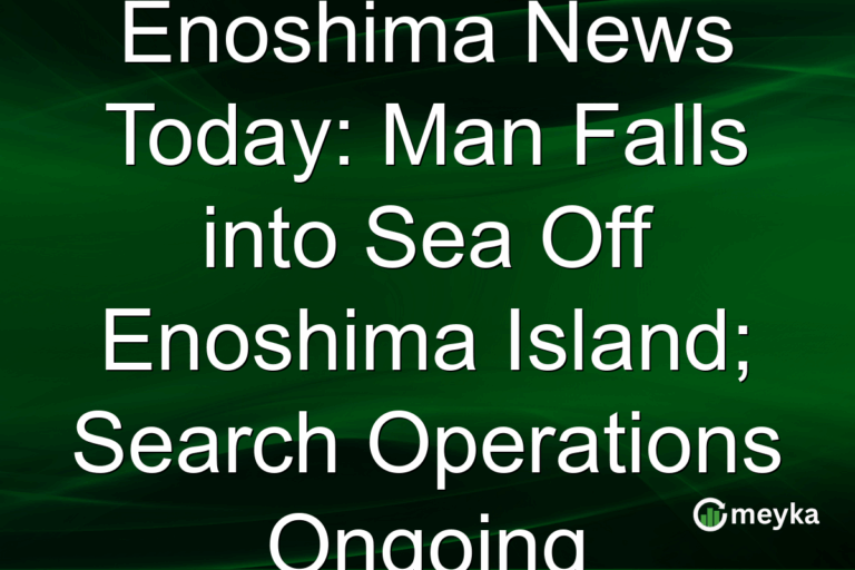Enoshima News Today: Man Falls into Sea Off Enoshima Island; Search Operations Ongoing