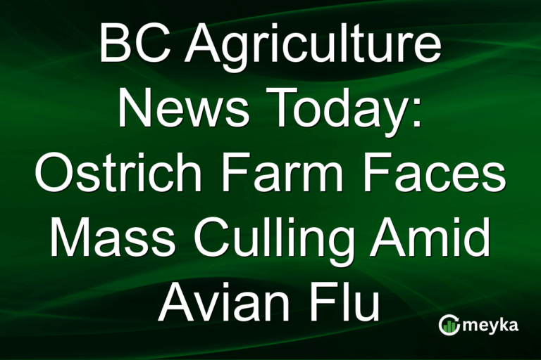 BC Agriculture News Today: Ostrich Farm Faces Mass Culling Amid Avian Flu