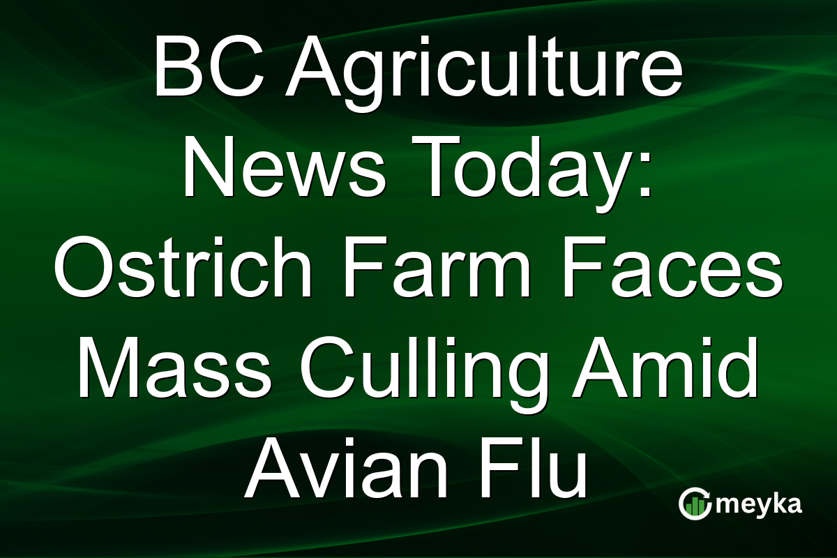 BC Agriculture News Today: Ostrich Farm Faces Mass Culling Amid Avian Flu