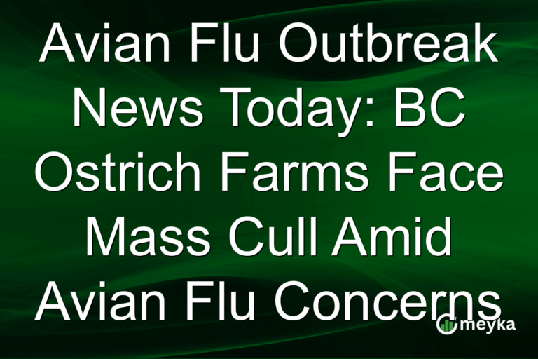 Avian Flu Outbreak News Today: BC Ostrich Farms Face Mass Cull Amid Avian Flu Concerns