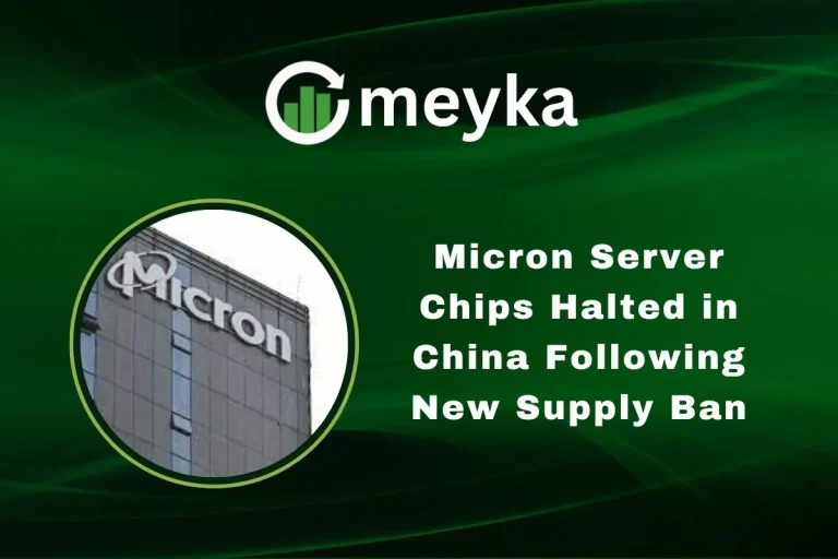 Micron Server Chips