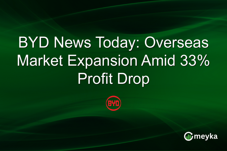 BYD News Today: Overseas Market Expansion Amid 33% Profit Drop