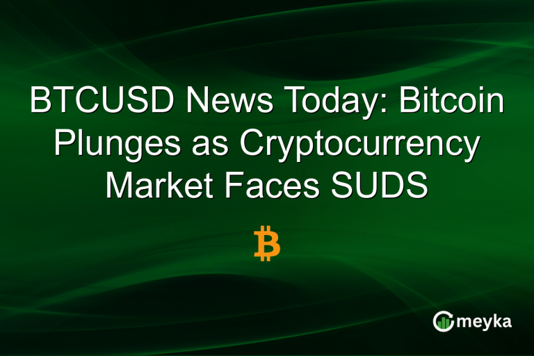 BTCUSD News Today: Bitcoin Plunges as Cryptocurrency Market Faces SUDS