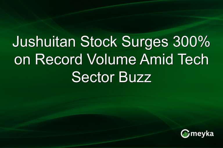 Jushuitan Stock Surges 300% on Record Volume Amid Tech Sector Buzz