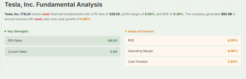 Meyka AI: Tesla's Fundamentals Overview