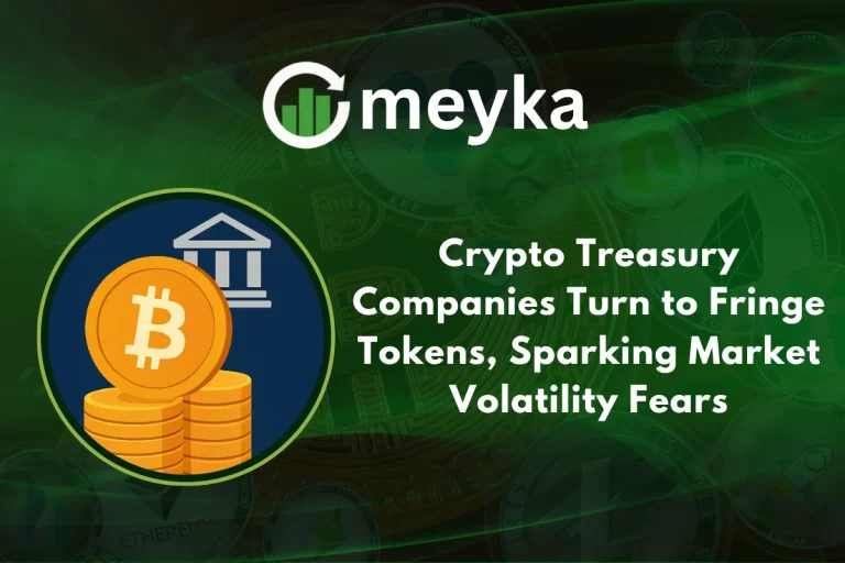 Crypto Treasury Companies Turn to Fringe Tokens, Sparking Market Volatility Fears
