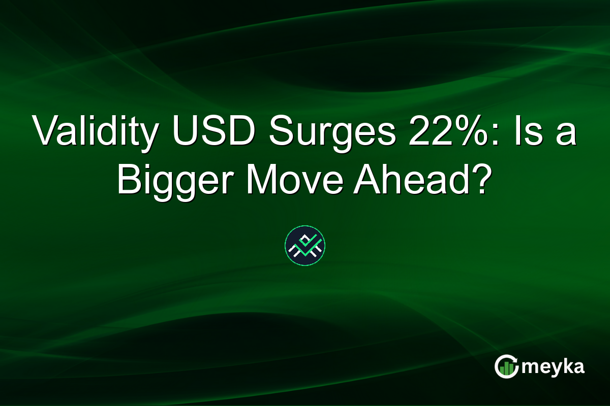 Validity USD Surges 22%: Is a Bigger Move Ahead?