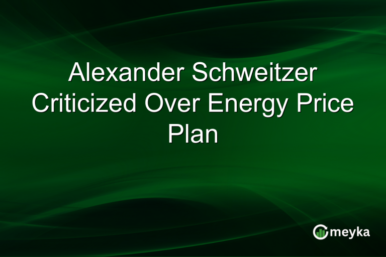 Alexander Schweitzer Criticized Over Energy Price Plan