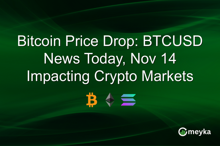 Bitcoin Price Drop: BTCUSD News Today, Nov 14 Impacting Crypto Markets