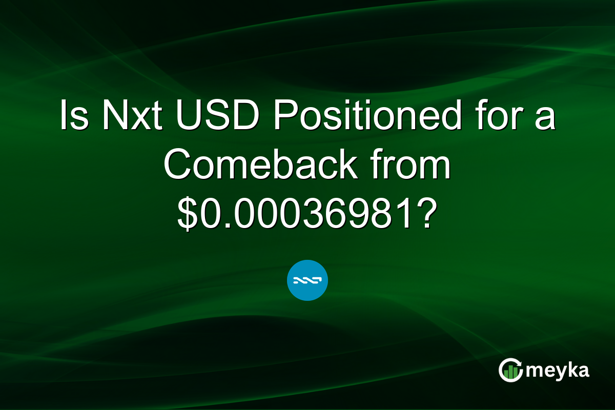 Is Nxt USD Positioned for a Comeback from $0.00036981?