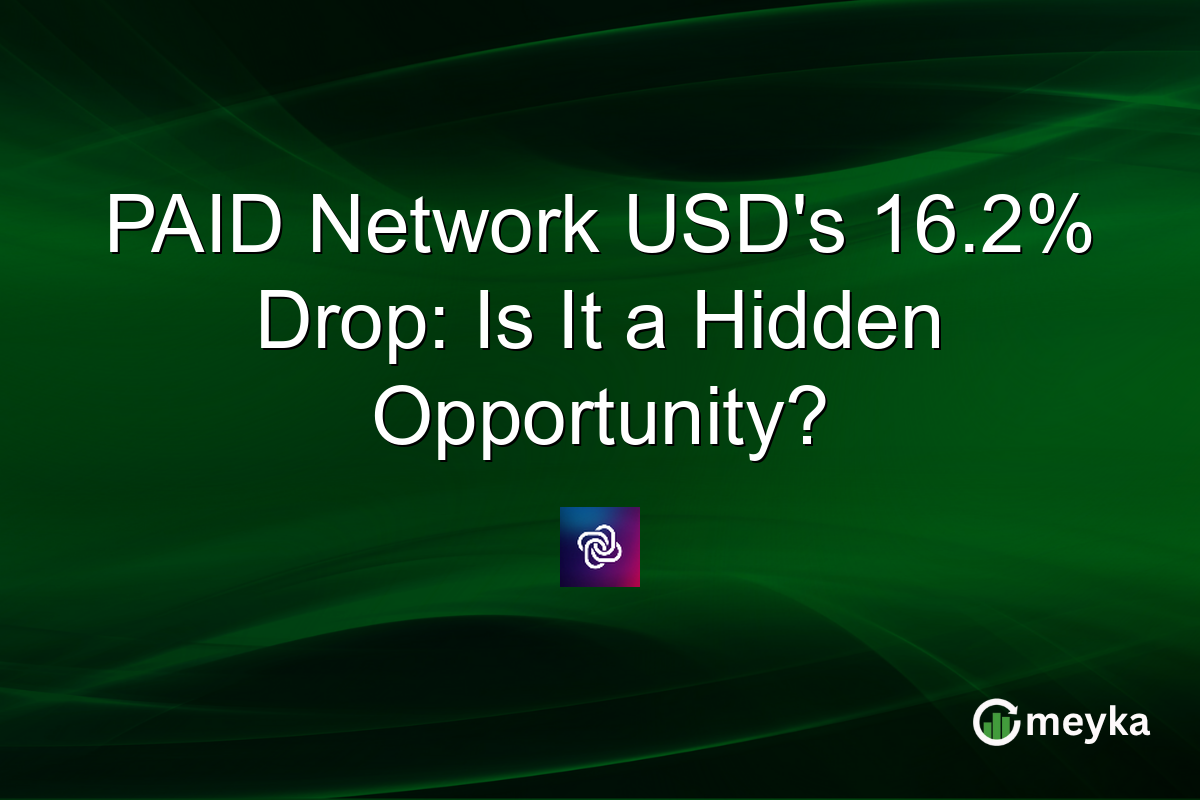 PAID Network USD's 16.2% Drop: Is It a Hidden Opportunity?