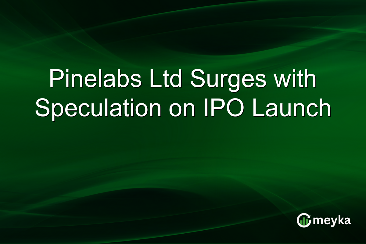 Pinelabs Ltd Surges with Speculation on IPO Launch