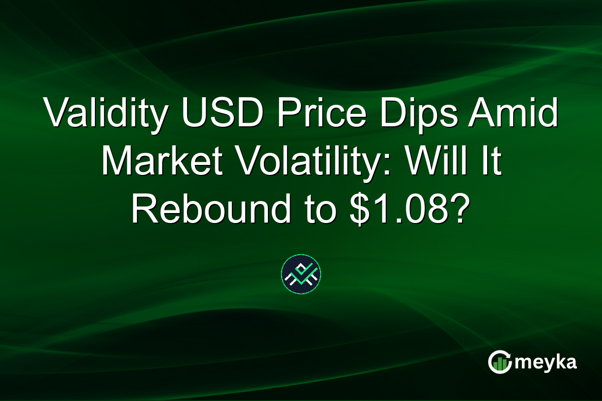 Validity USD Price Dips Amid Market Volatility: Will It Rebound to $1.08?