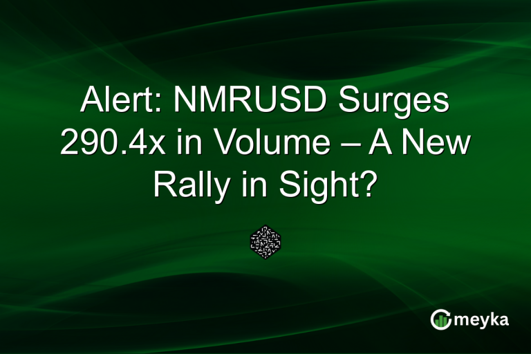 Alert: NMRUSD Surges 290.4x in Volume – A New Rally in Sight?