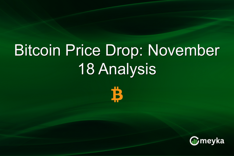 Bitcoin Price Drop: November 18 Analysis