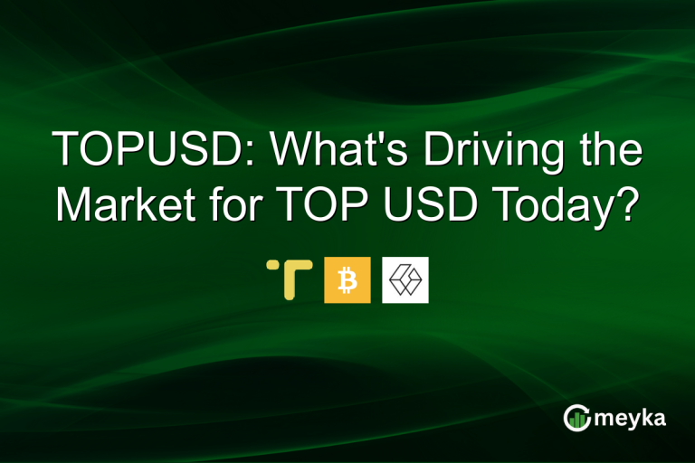 TOPUSD: What's Driving the Market for TOP USD Today?