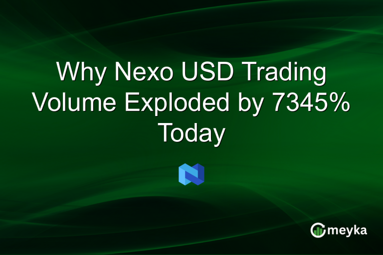 Why Nexo USD Trading Volume Exploded by 7345% Today
