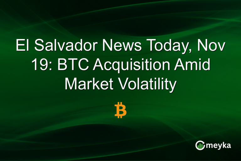 El Salvador News Today, Nov 19: BTC Acquisition Amid Market Volatility
