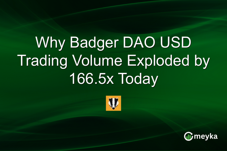Why Badger DAO USD Trading Volume Exploded by 166.5x Today